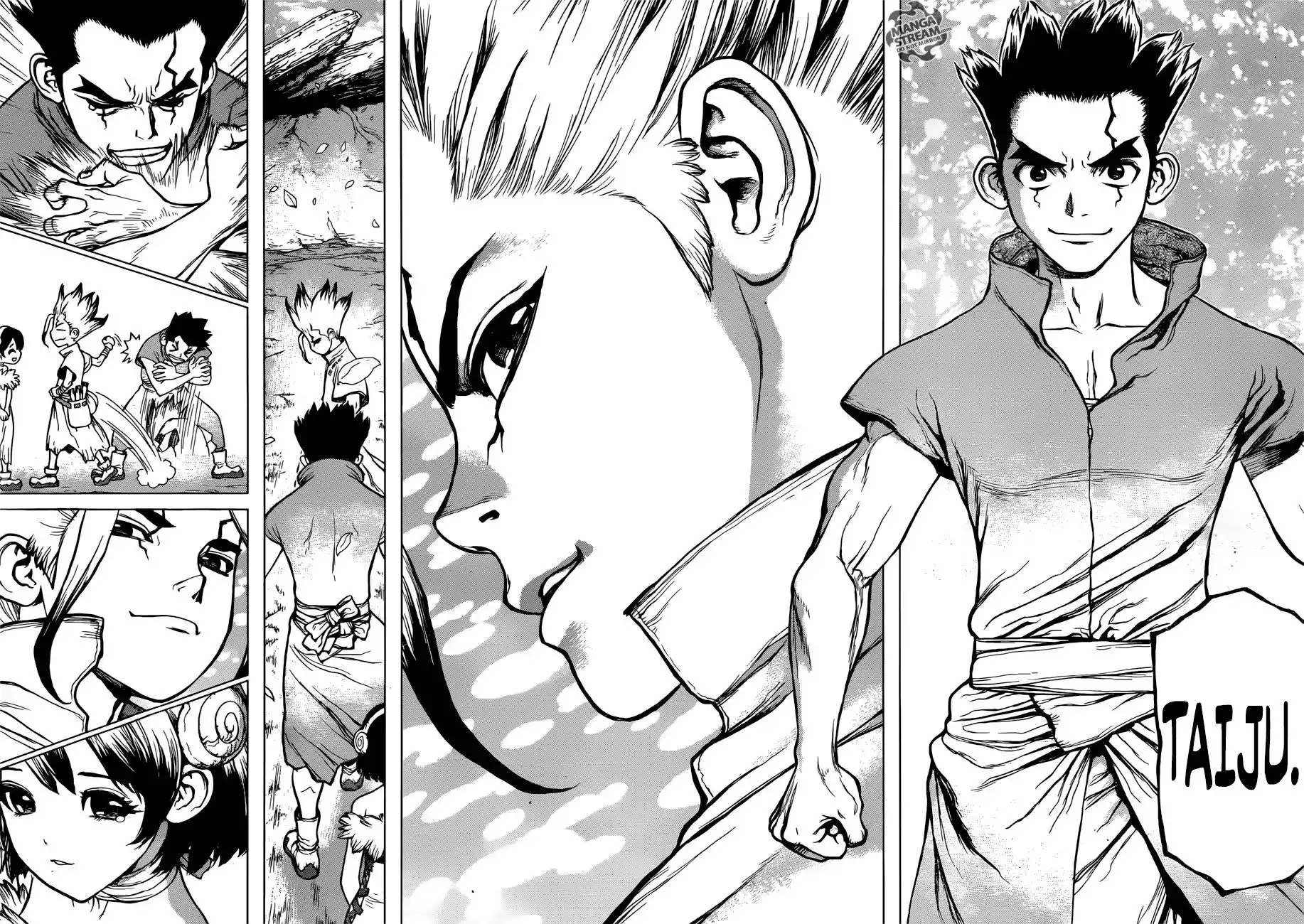 Dr. Stone Chapter 74 13